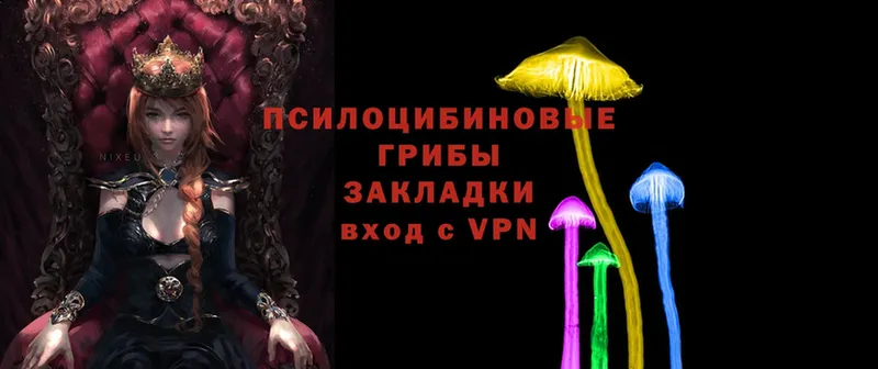 купить  сайты  KRAKEN как зайти  Галлюциногенные грибы прущие грибы  Нюрба 